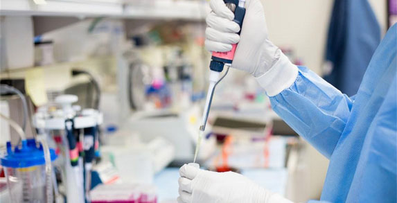 草莓视频下载APP在线观看環境草莓视频APP下载技術(上海)有限公司